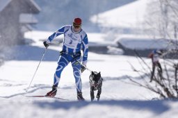 Lenk 2013